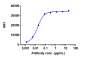 Anti-DLL3 Reference Antibody (rovalpituzumab)